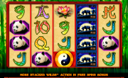 100 Pandas