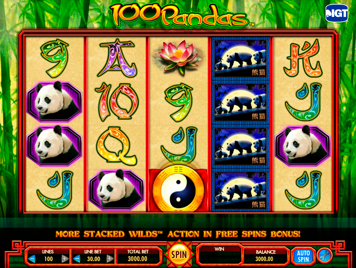 100 pandas igt