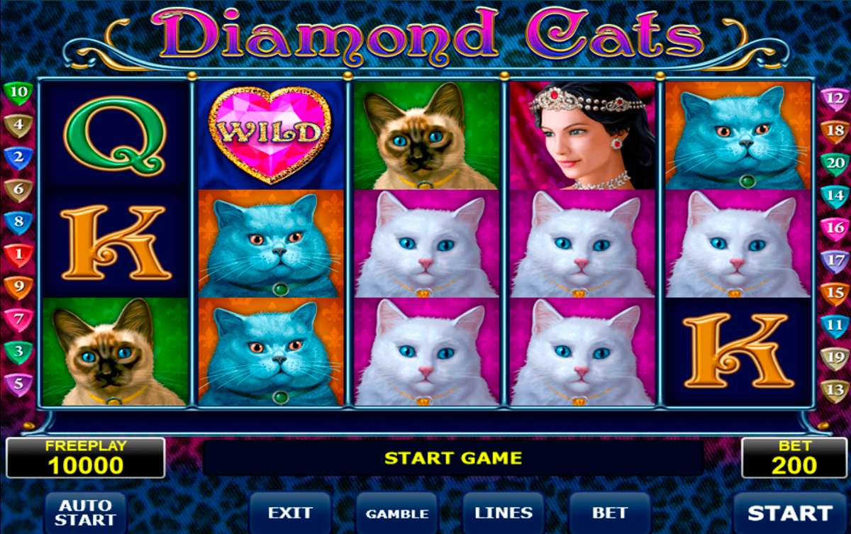 Diamond cats amatic