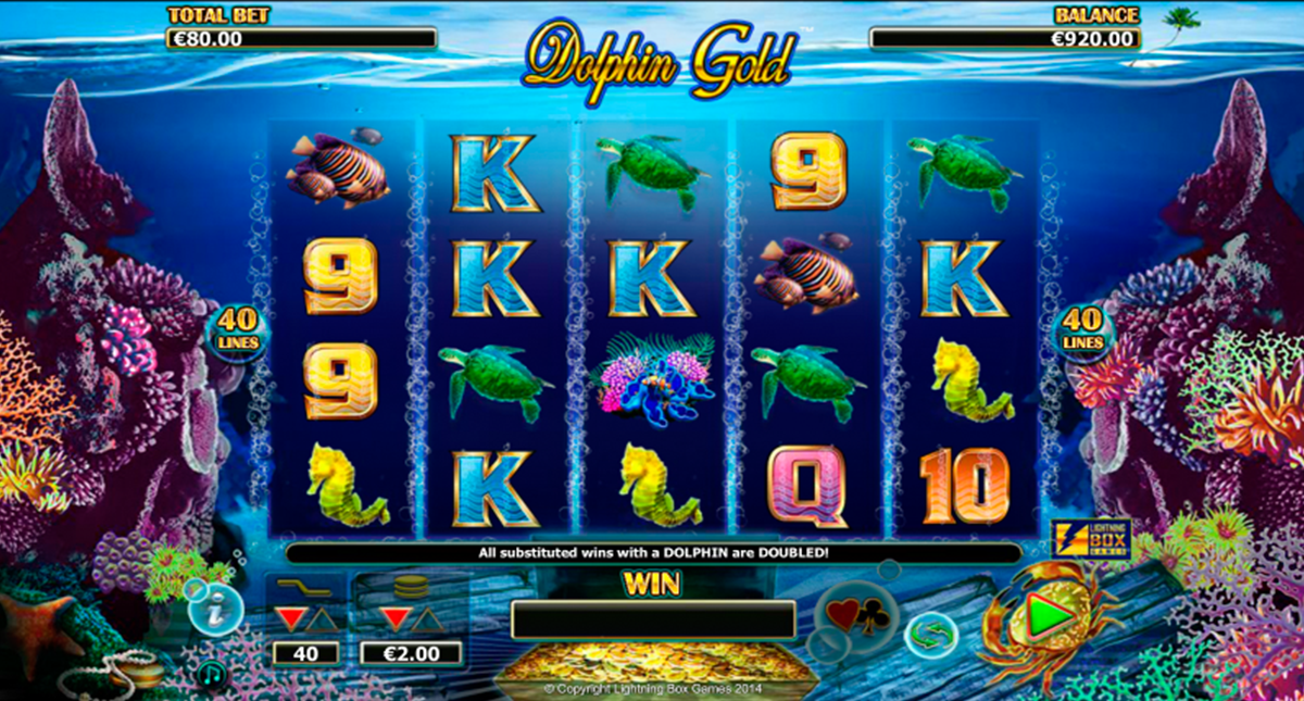 Dolphin gold lightning box